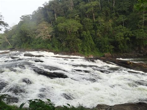 Munnar And Thekkady Lush Green Tea Gardens To Aromatic Spice Plantations Tripoto