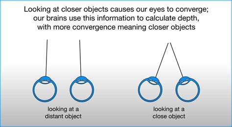 Binocular Cues What They Are And How They Influence Perception