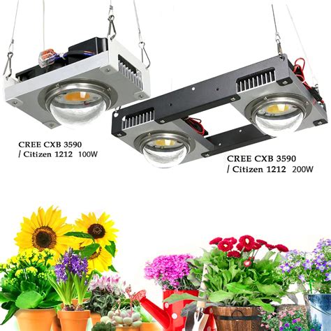 CXB3590 COB LED Grow Light Full Spectrum 100W 200W Citizen1212 DIY