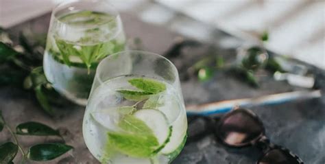 Las Cuatro Mejores Recetas De Bartenders Para Preparar Gin Tonic En