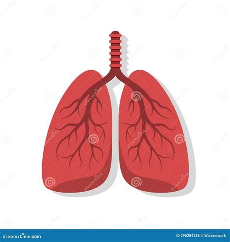 Human S Lungs Icon Pneumonia Asthma Tuberculosis Disease Symbol