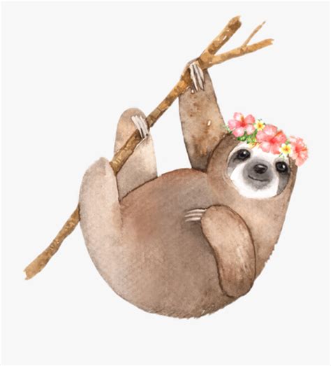 Sloth Clipart Free 10 Free Cliparts Download Images On Clipground 2024