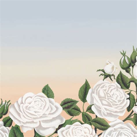 White rose border, vintage illustration | Free Photo - rawpixel