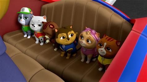 Cat Skye/Gallery/Pups Save Ace's Birthday Surprise | PAW Patrol Wiki ...