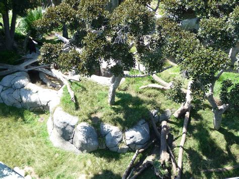 San Diego Zoo - Skyfari Overview - ZooChat