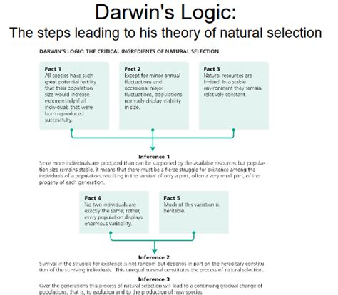 Natural Selection Diagram | Quizlet