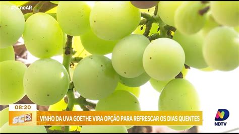 Vinho da uva Goethe opção refrescante para os dias quentes de verão em