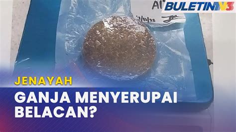 Jenayah Cubaan Seludup Ganja Belacan Pemandu Pelancong Ditahan