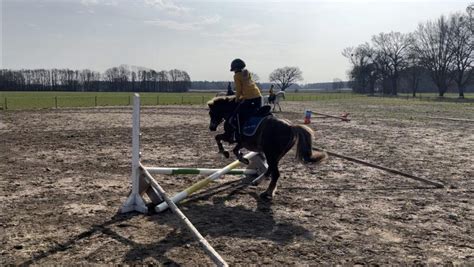 Erstes Springtraining Auf Unserem Reitplatz Erstes Turnier Der Saison