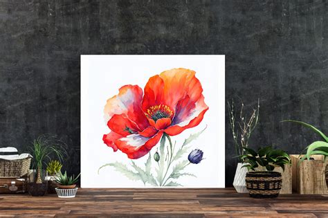 Best Watercolor Poppy Flower Graphic by Creative Designs · Creative Fabrica