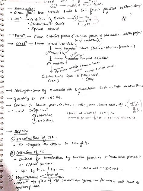 csf Anatomy | PDF