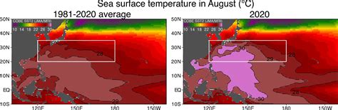 Human Induced Climate Change Caused The Northwestern Pacific Warming