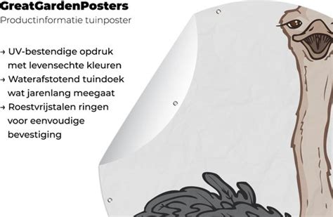 Tuincirkel Tekening Van Een Gelukkige Struisvogel X Cm Ronde