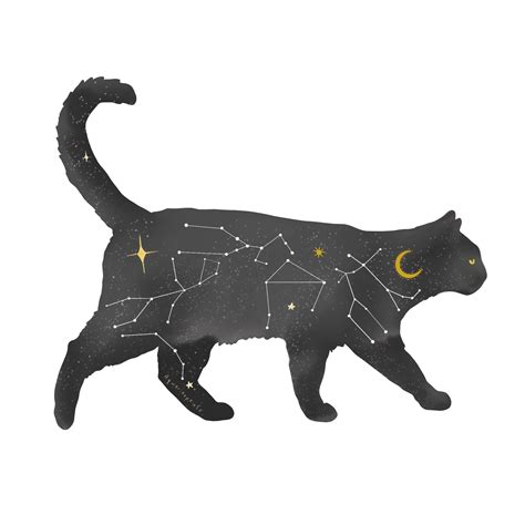 Constellation Celestial Cat Astrology Sticker | Etsy