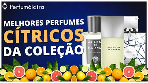 Melhores Perfumes C Tricos Masculinos Da Cole O Perfumesfrescos Youtube