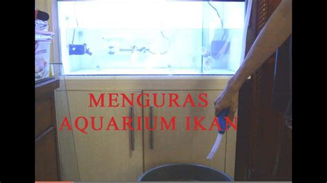 Cara Lengkap Mencuci Dan Menguras Aquarium Ikan Arwanaandlouhan Youtube