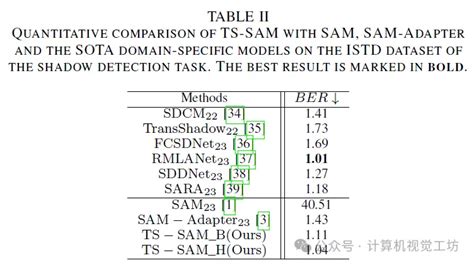 Sam已经out了！ts Sam：适应下游任务的分割一切！ Cv技术指南（公众号） 博客园