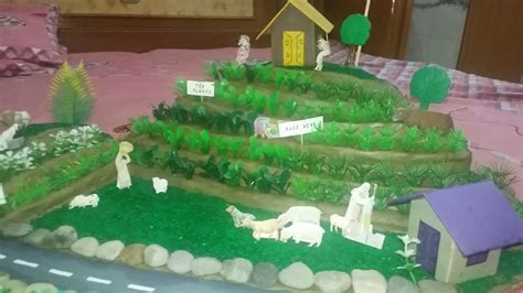 Model Of Step Farming In Hills Youtube