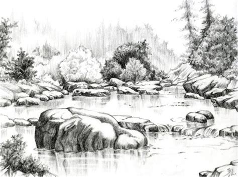 Nature Pencil Sketches Gallery