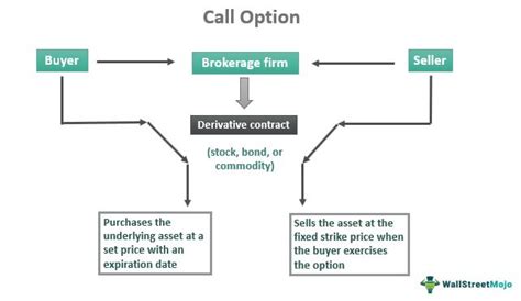 What Is A Put Option And How To Use Them With Examples Optionality