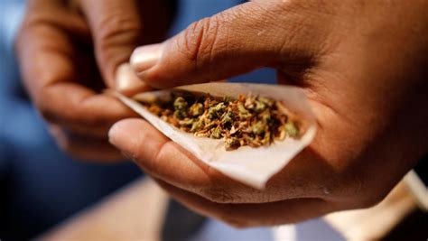 PE man arrested for dealing in dagga oil - SABC News - Breaking news, special reports, world ...