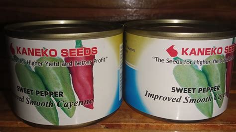 ANOTHER TEST TO TRY SWEET PEPPER OF KANEKO SEEDS YouTube