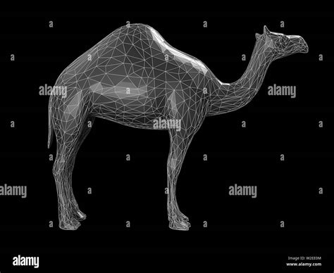 Camel Shape High Resolution Stock Photography and Images - Alamy