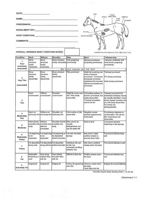 Horse health record form free printable pdf – Artofit