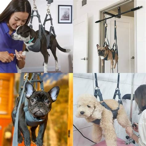 Top 10 Dog Grooming Harnesses A Complete Buying Guide For Pampered