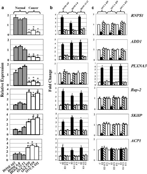 Real Time Rt Pcr Analysis Of Mrna For Human Rna Binding Protein Rnps1