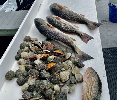 Ready, Set, Scallop! A Preview of the 2023 FL Scalloping Season