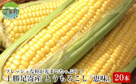 【楽天市場】緑の大地にあふれる幸せ 安全で安心なまち ～子育て支援の充実したまち～：北海道足寄町 トップページ