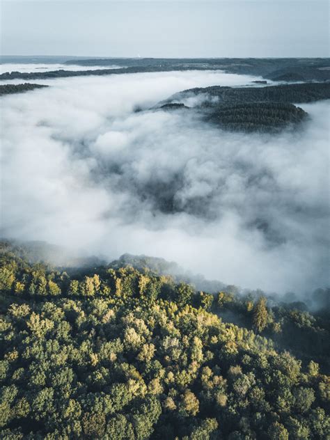 Ultimate Ardennes Hiking Guide with 20 Hiking Routes - BEY OF TRAVEL