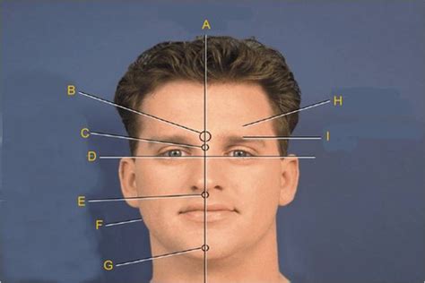 Facial Landmarks In Positioning Flashcards Quizlet