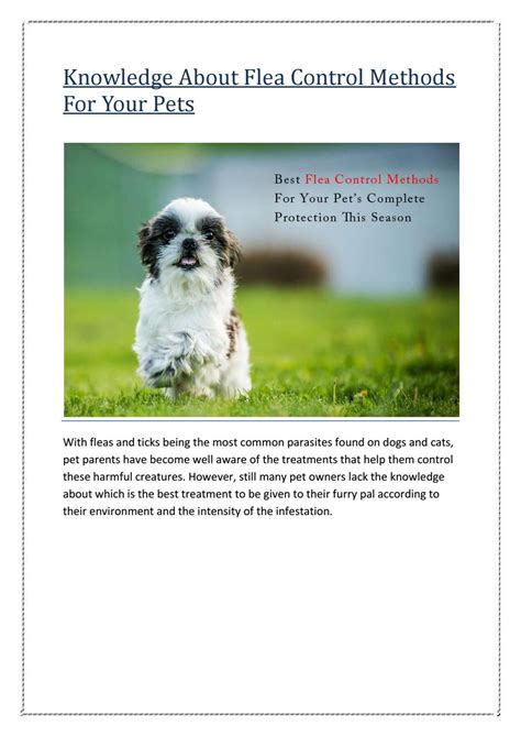 Flea control methods for your pets by petcaresupplies - Issuu