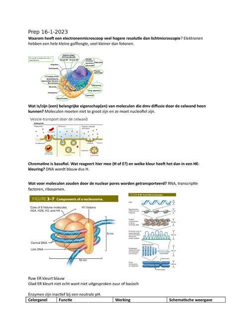 Histologie College Prep Waarom Heeft Een Electronenmicroscoop