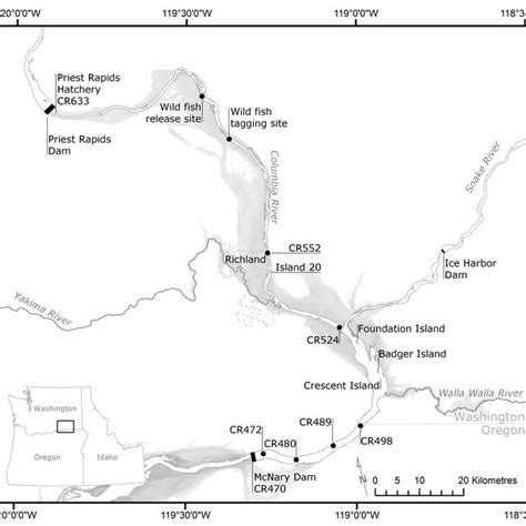 3. Map of the Columbia River from McNary Dam to Bonneville Dam ...