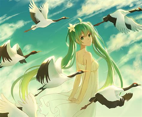 ボーカロイド、 初音ミク、 ロングヘア、 ツインテール、 白いドレス、 髪に花、 鳥、 雲、 アニメの女の子、 アニメ、 Hdデスクトップの