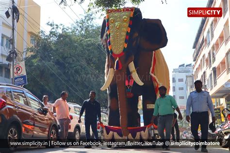 SimpliCityCoimbatore On Twitter Photostory Real Or Fake Elephant