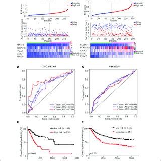 Establishment Of The EMT Related Gene Signature A The Flow Chart