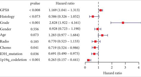 Relationship Between Clinical Characteristics And Prognosis Of Patients