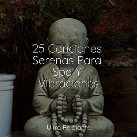 Amazon Canciones Serenas Para Spa Y Vibraciones Master