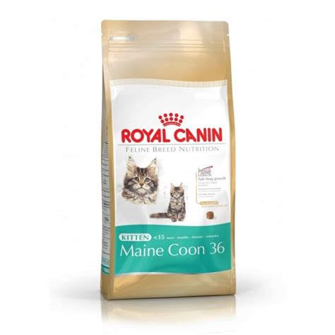 Royal Canin Kitten Maine Coon 36 Complete Kitten Food At Burnhills