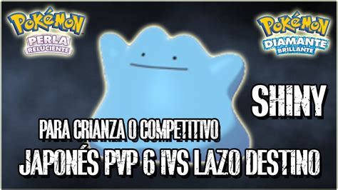 REPARTO DITTO SHINY COMPETITIVO CRIANZA 6 IVS LAZO DESTINO L