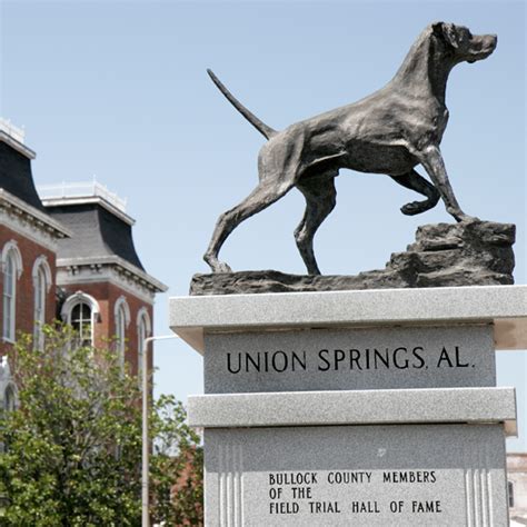 Union Springs, Alabama Travel Guide - Places To Go, Restaurants and ...