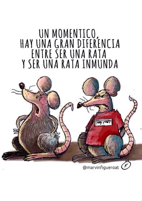 G A N T I L L A N O Entre Ratas Te Veas Ratas Estados Para