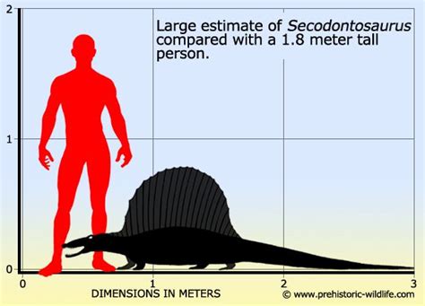 Secodontosaurus | Prehistoric animals, Extinct animals, Prehistoric