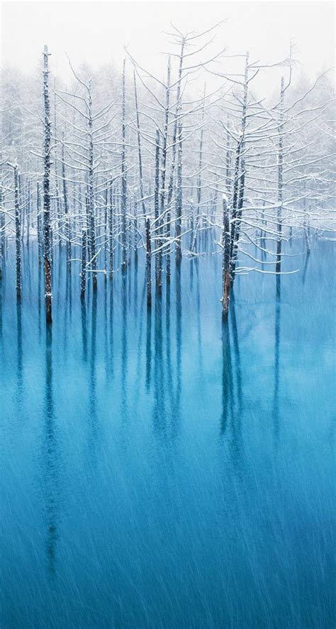 Download Snow Trees Over Blue Water iOS 7 Wallpaper | Wallpapers.com