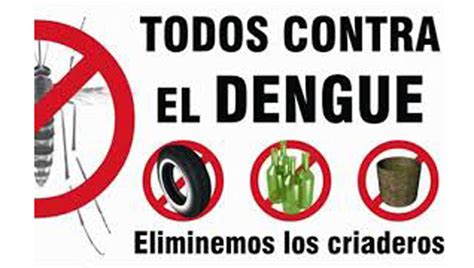 Solicitan Extremar Las Medidas Preventivas Contra El Dengue Desde El