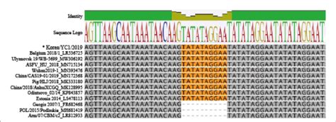 Figure E Sequence Alignment Of Intergenic Region Between Iiir And Iiiil